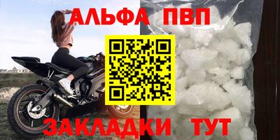 крисы Шебекино