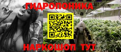 apvp Ярославль