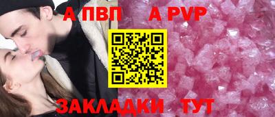 крисы Шебекино