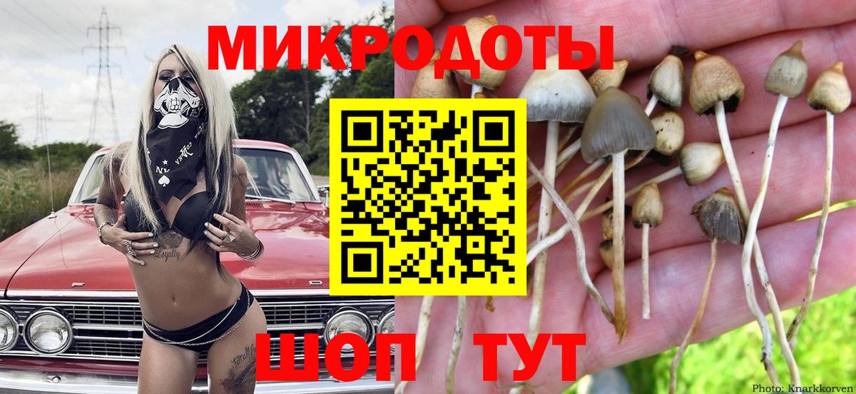 Галлюциногенные грибы Psilocybine cubensis  купить закладку  Брянск  Псилоцибиновые грибы Magic Shrooms  Вход с VPN 